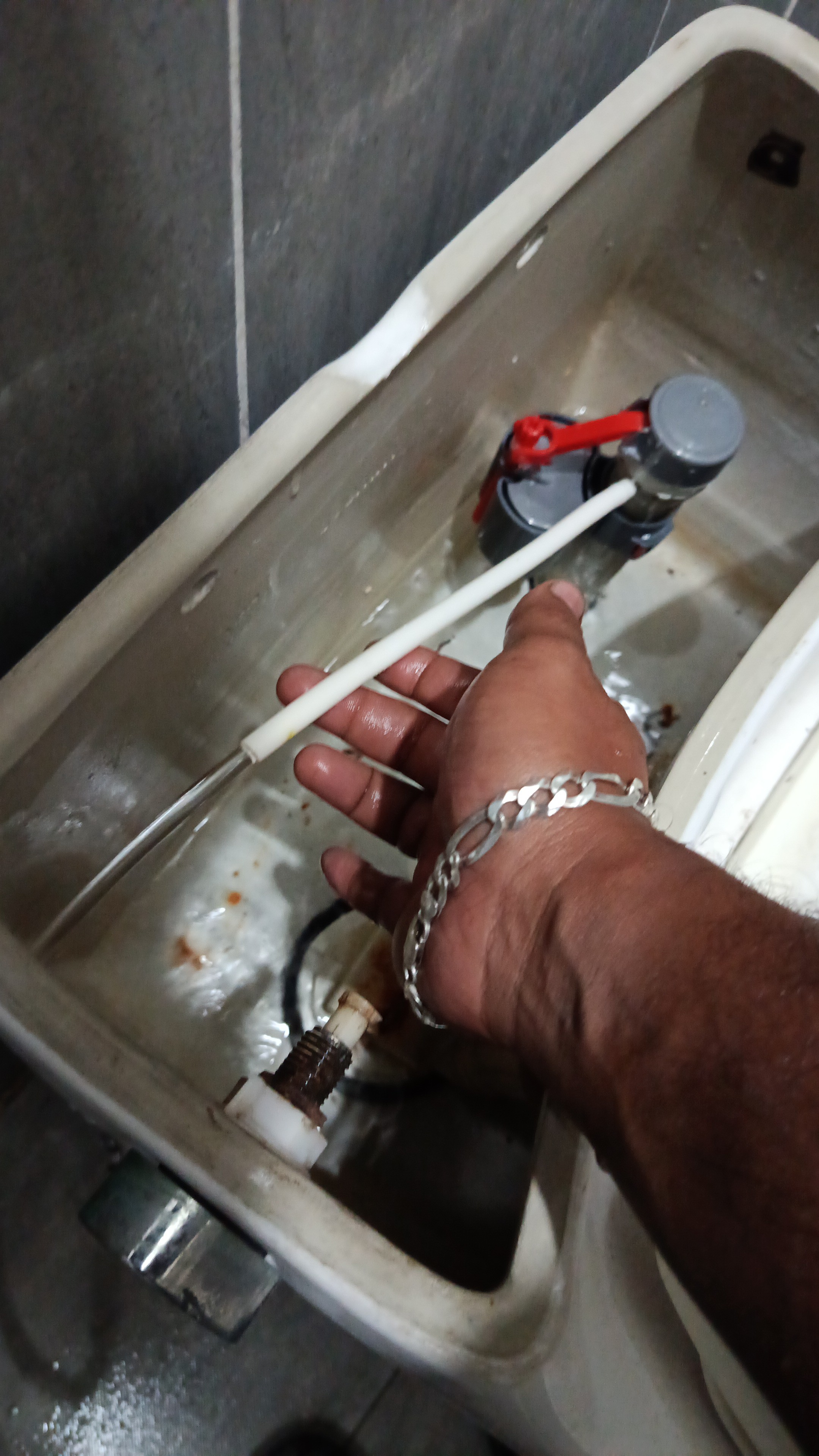 Sakhawat Hossen - Portfolio 1