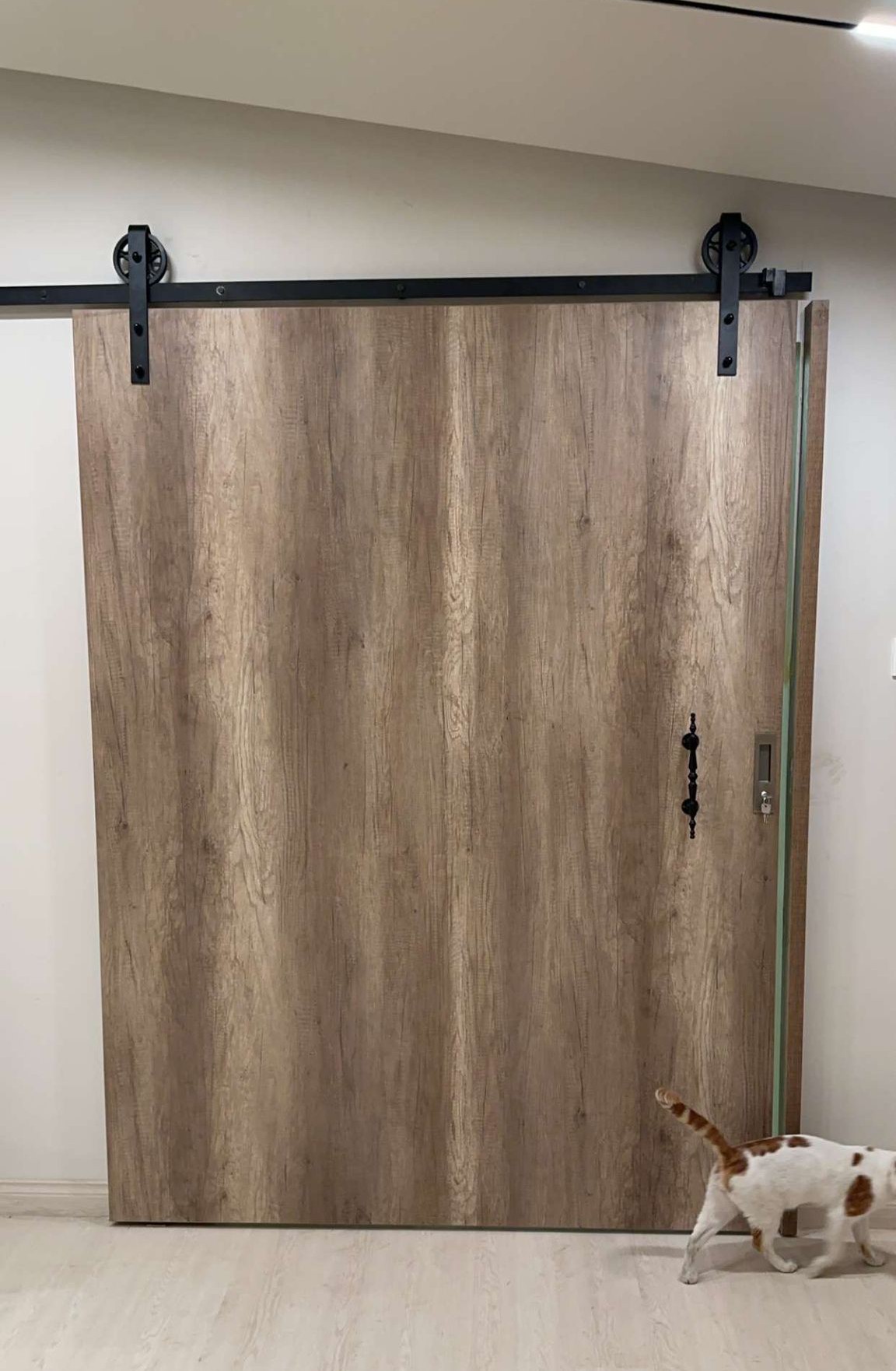 Mohammad Rayhan - Portfolio 18