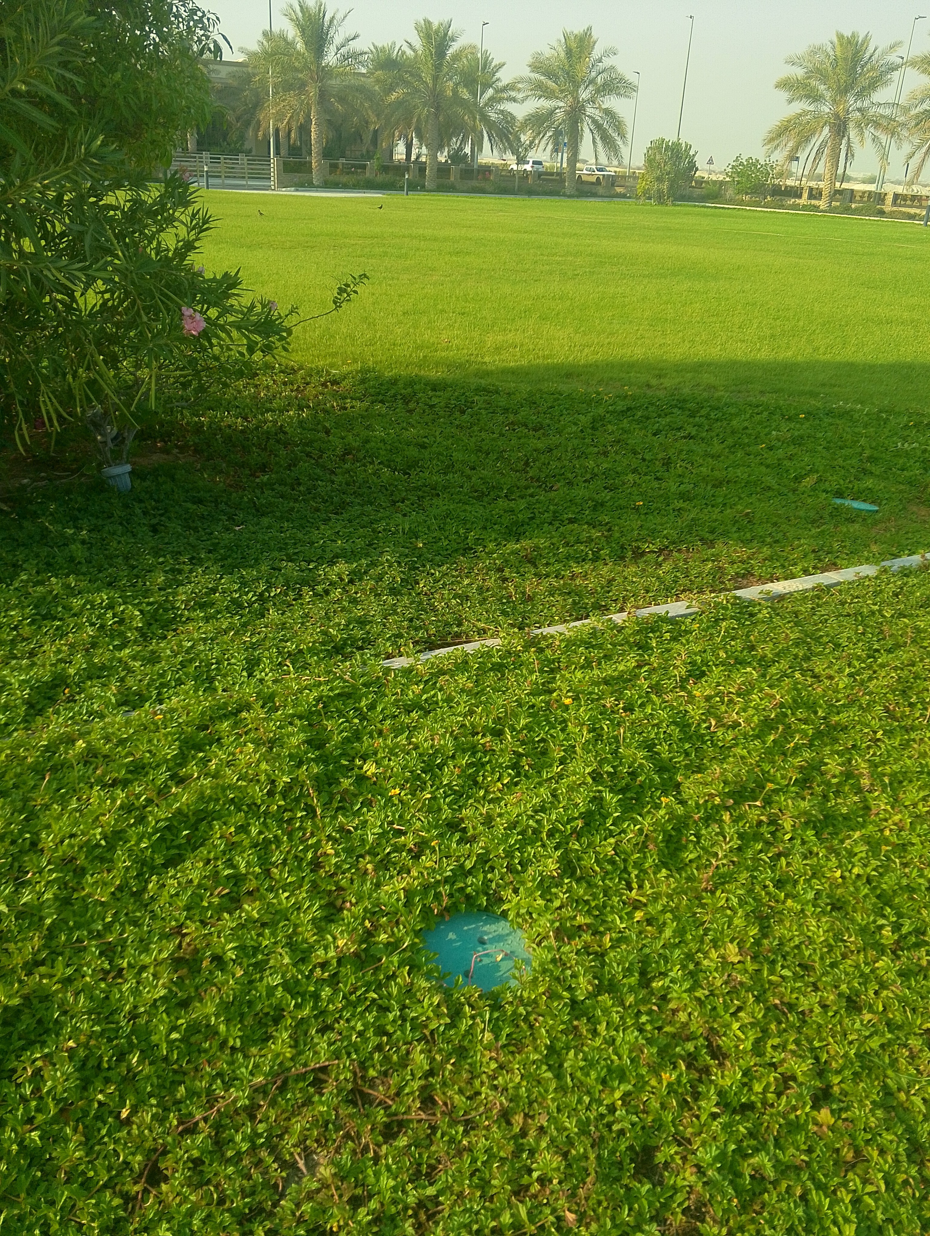 ابوفارس - Portfolio 3