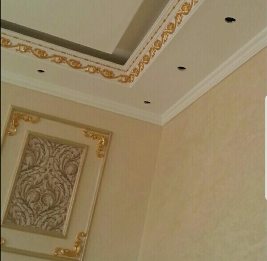 علي عيسي - Portfolio 10