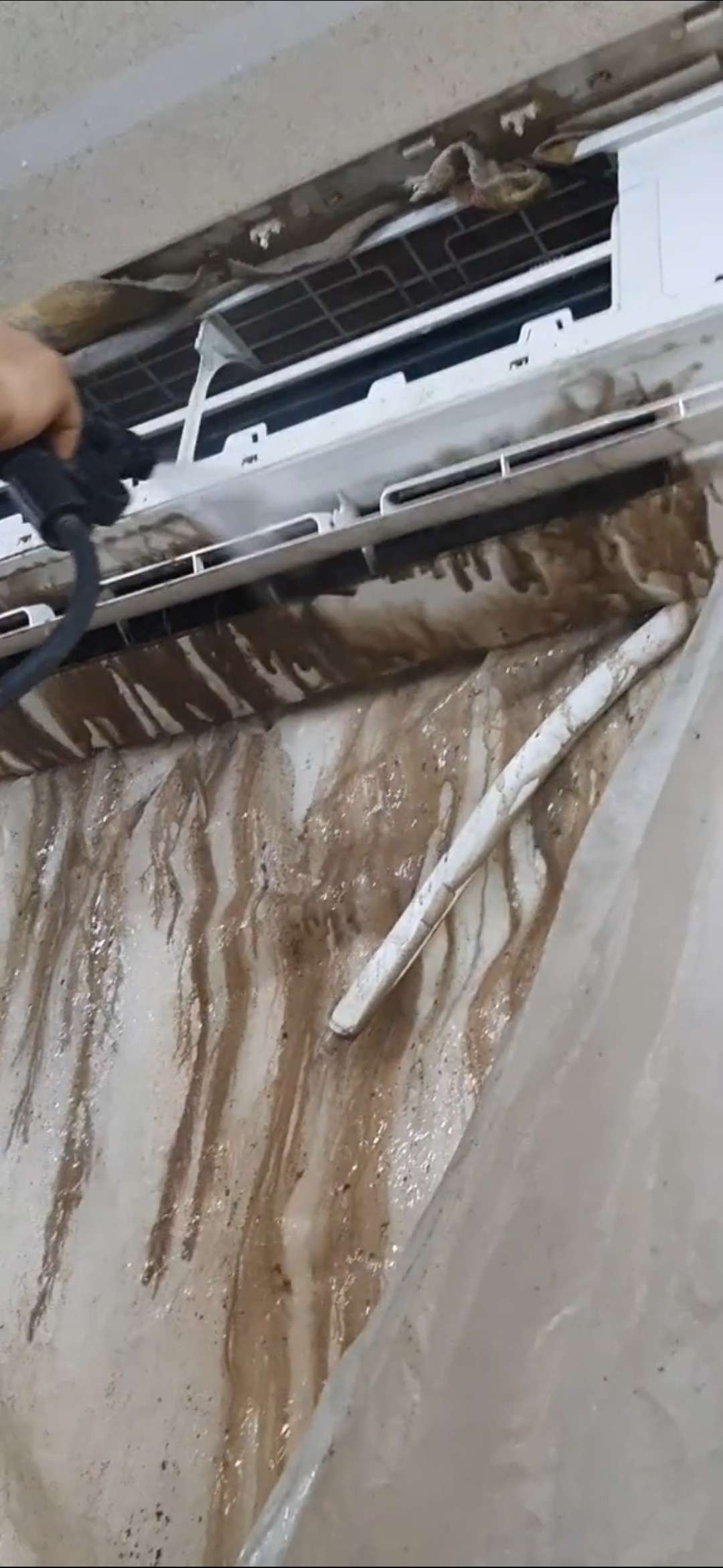 خالد - Portfolio 2