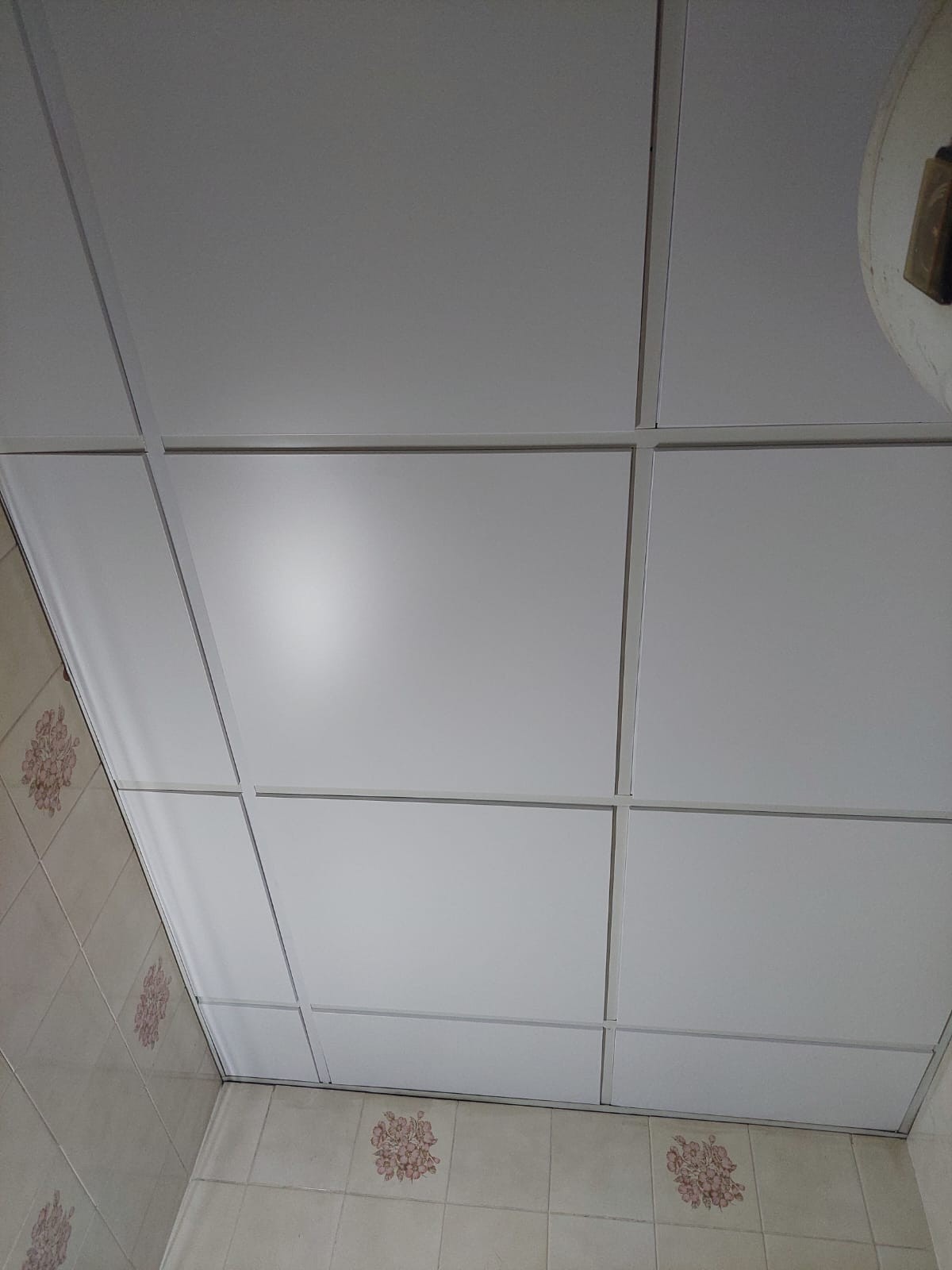 MD.FIROZUL ISLAM - Portfolio 19