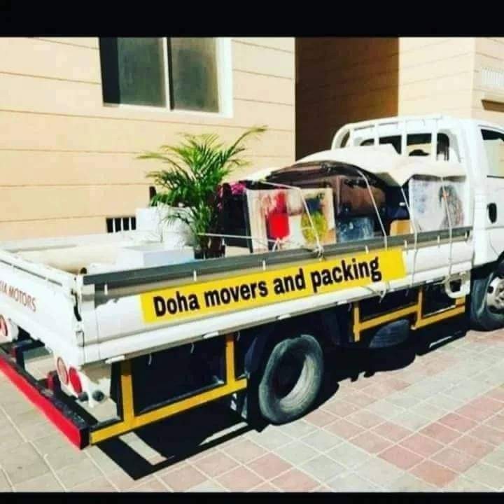 MD Shohan - Portfolio 2