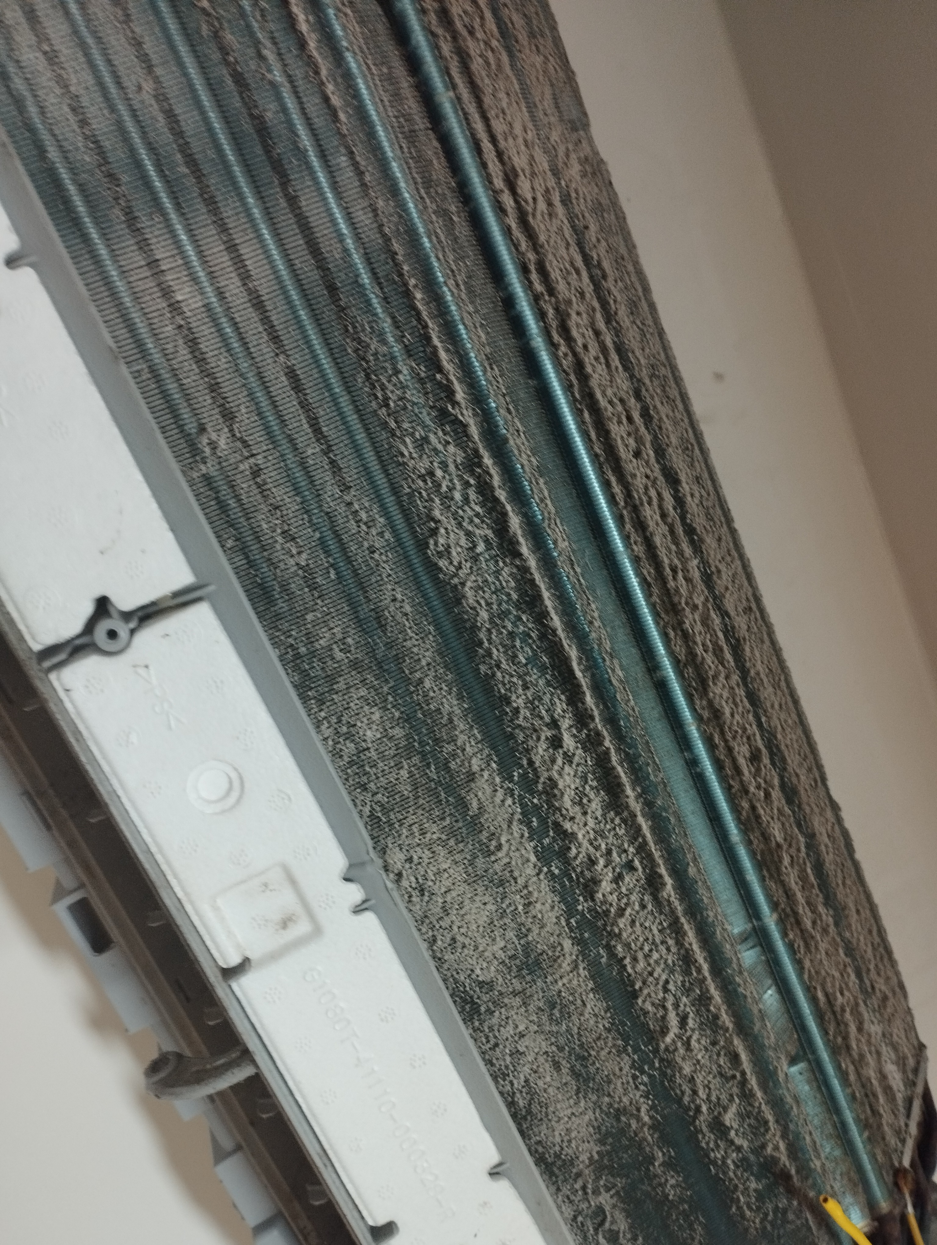 حلمي عصمت حلمى محمد - Portfolio 1