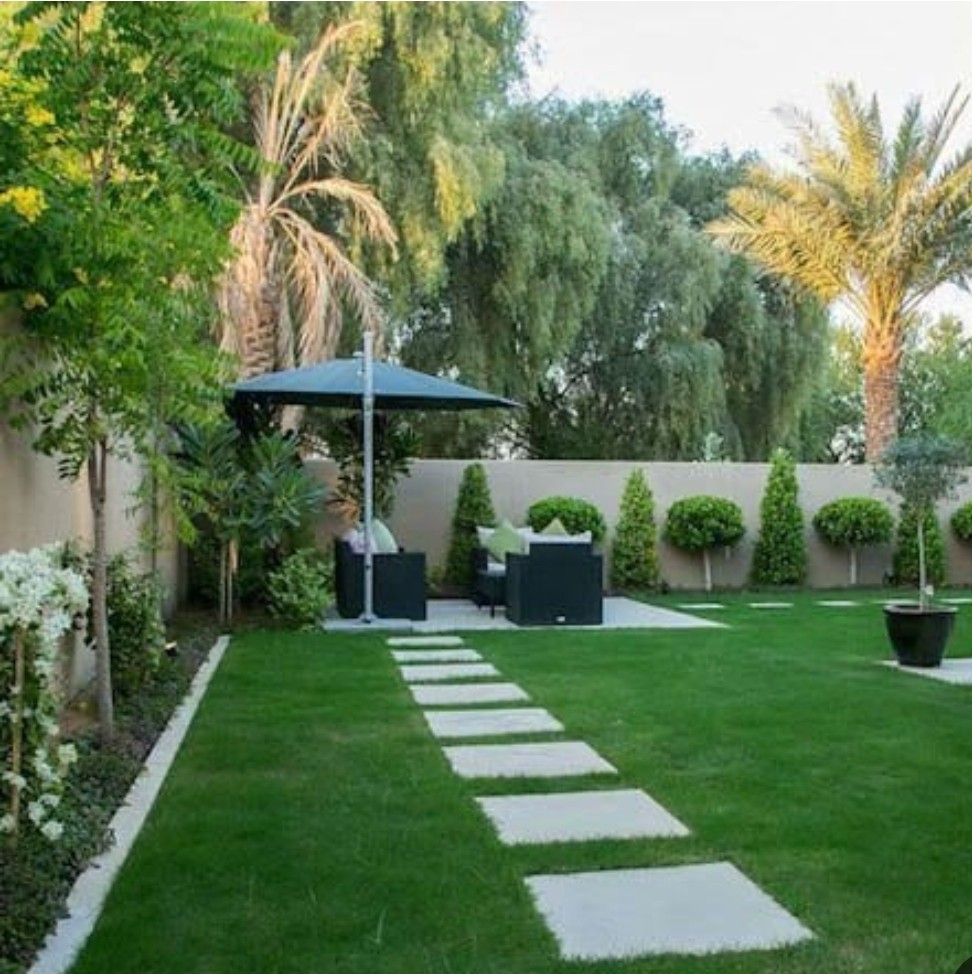 اسماعيل  رمضان - Portfolio 2