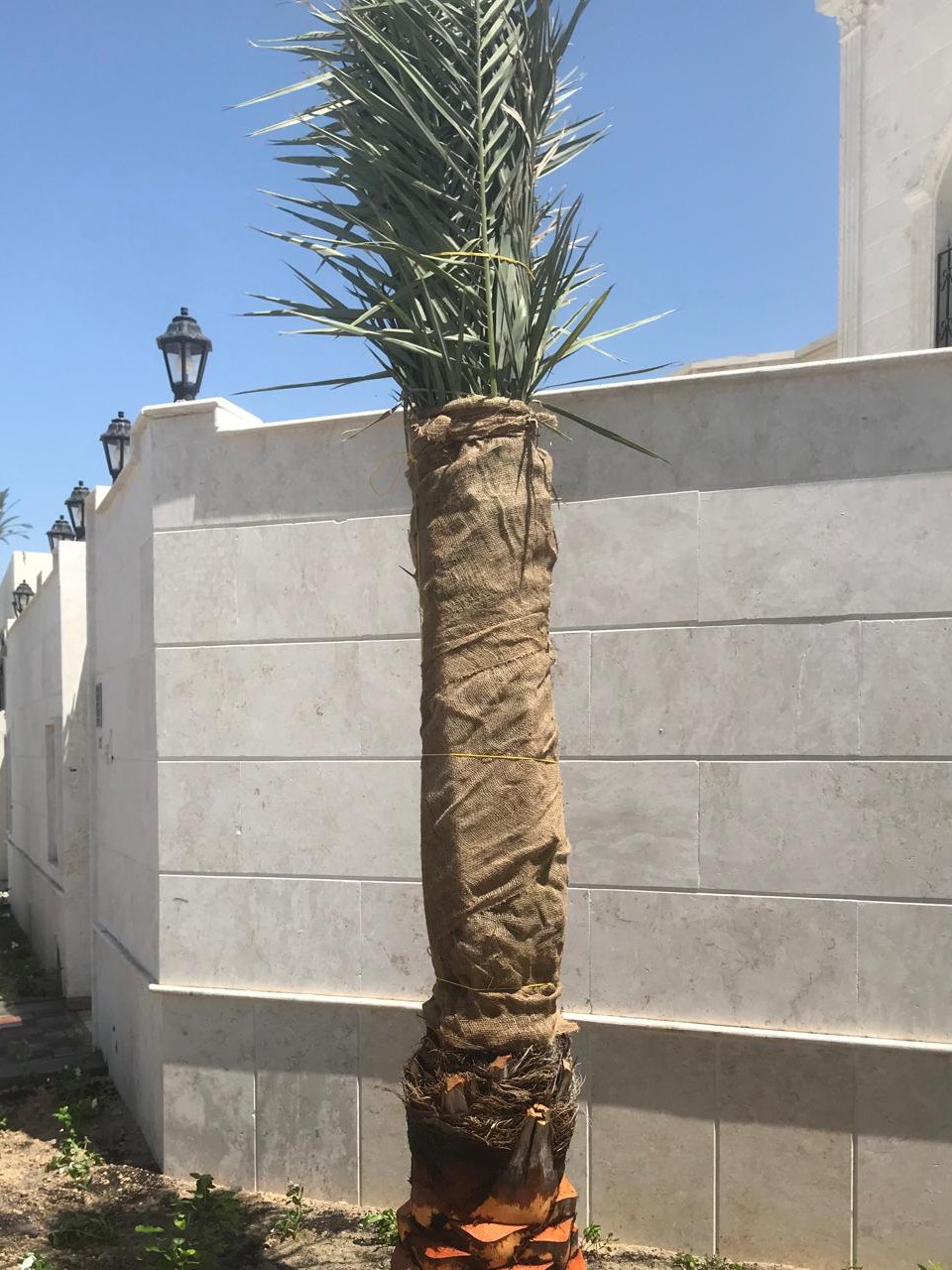 Yasin omor - Portfolio 1