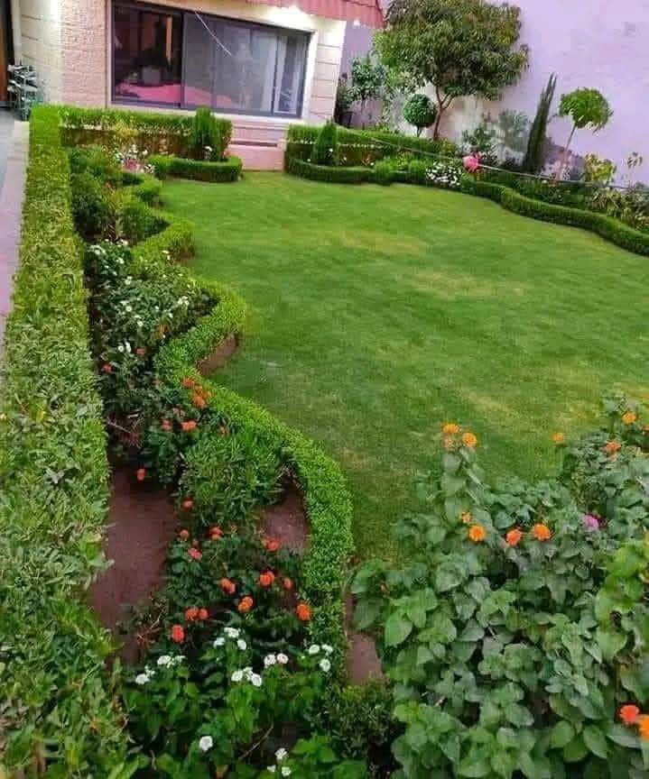 Emad Zahran - Portfolio 6