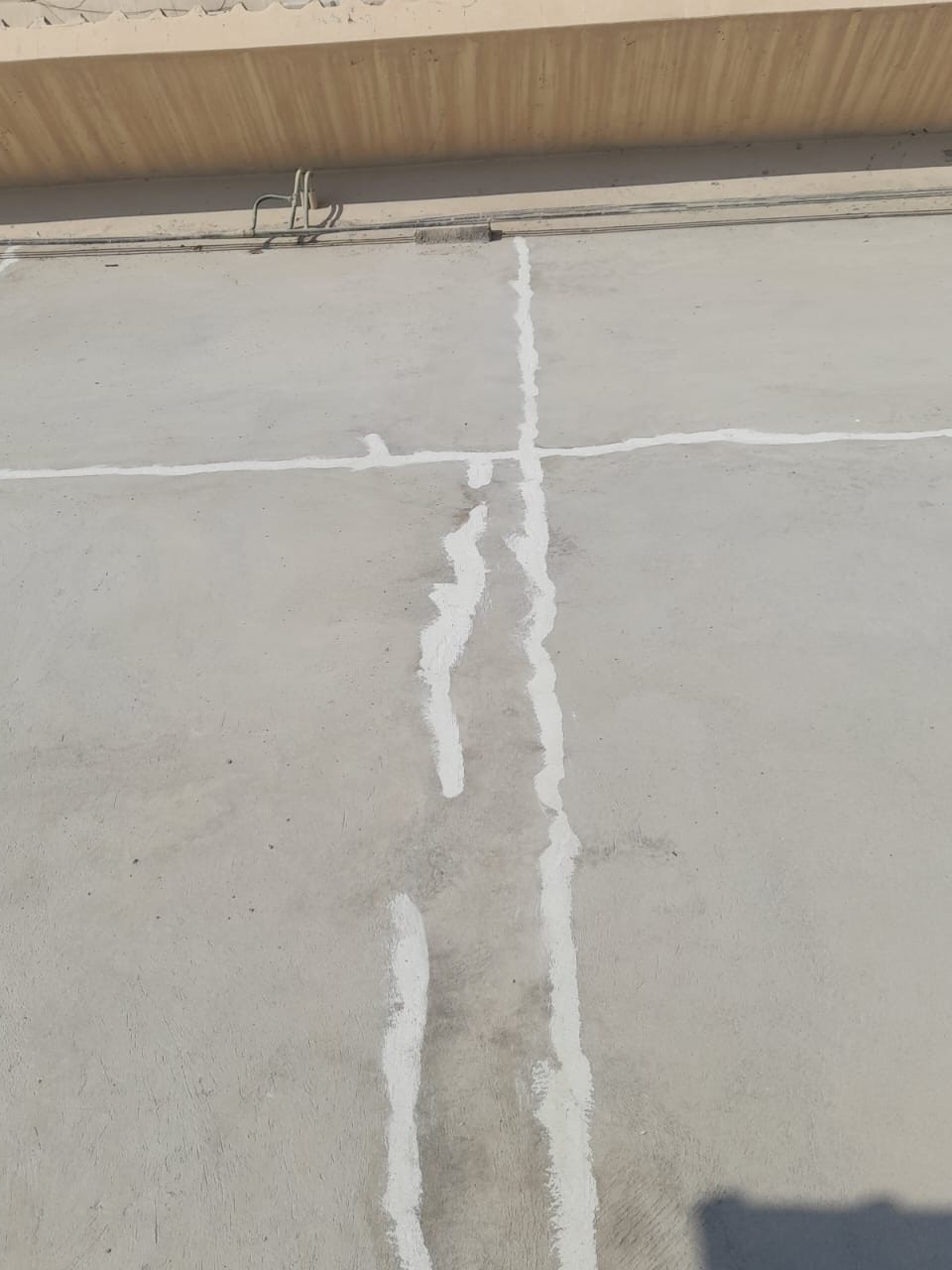 بوبكر بلغيث - Portfolio 15