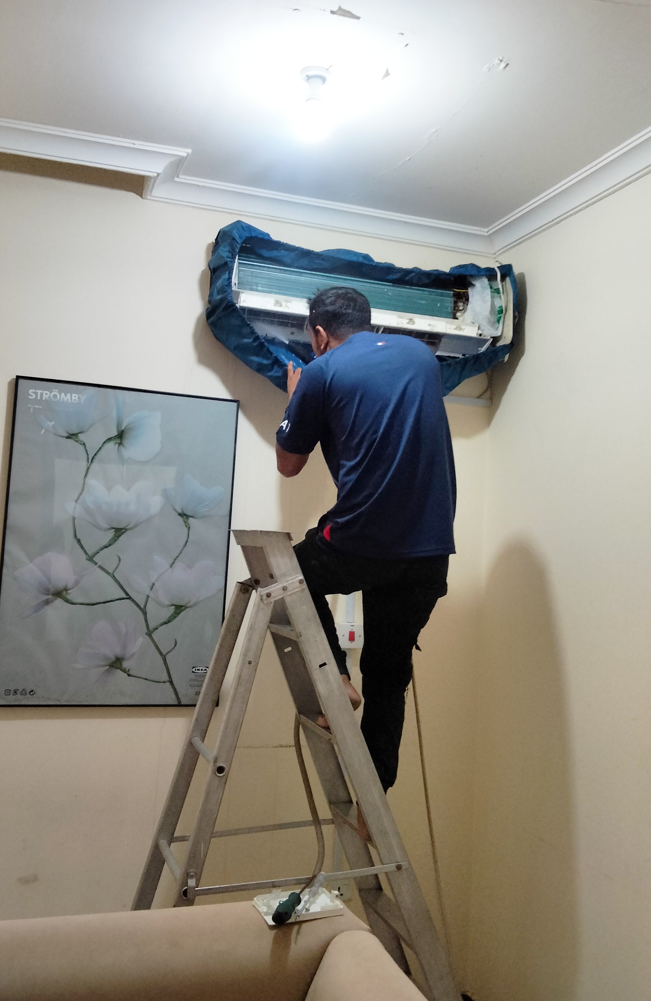 MD Shohan - Portfolio 1