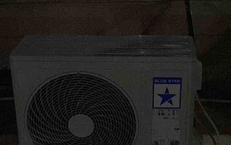 MOBARAK HOSSAIN - Portfolio 2