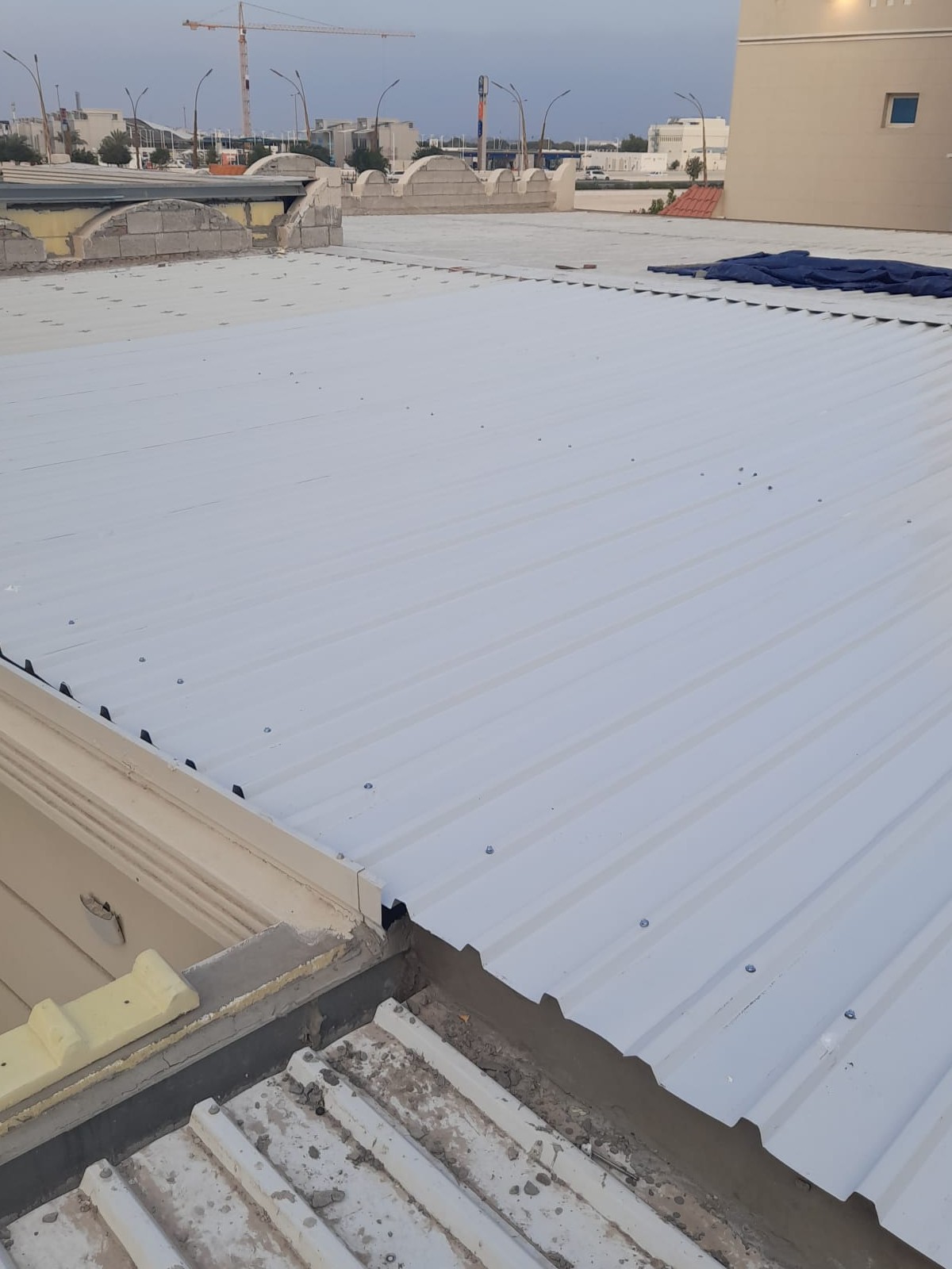 بوبكر بلغيث - Portfolio 20