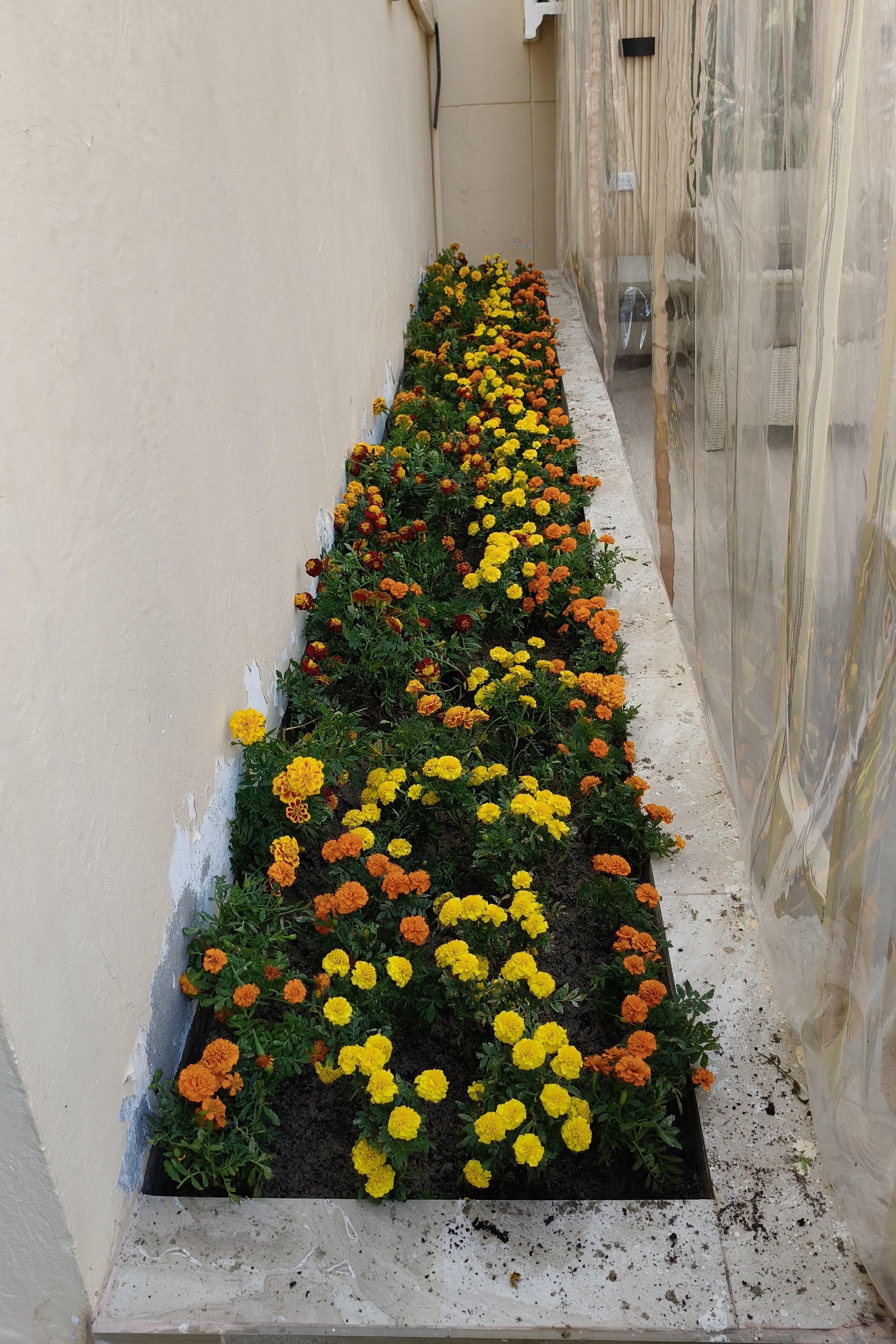 Emad Zahran - Portfolio 8